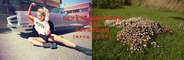 тгк Аркадак