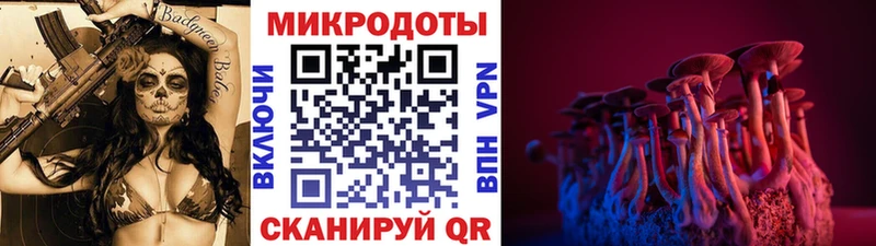 наркошоп  shop наркотические препараты  Псилоцибиновые грибы GOLDEN TEACHER  Краснотурьинск 
